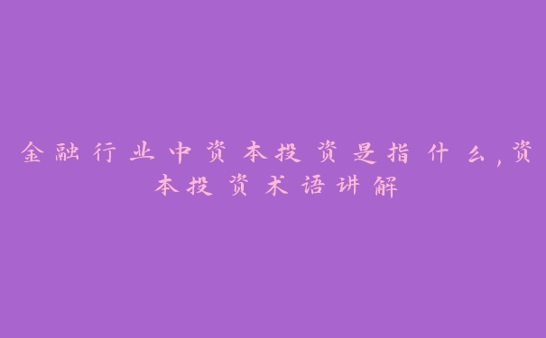 金融行业中资本投资是指什么,资本投资术语讲解