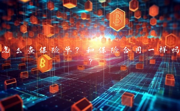 怎么查保险单？和保险合同一样吗？