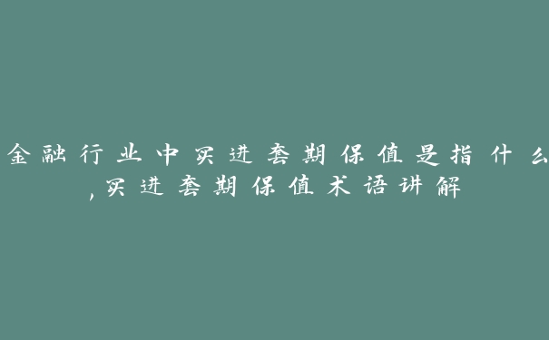 金融行业中买进套期保值是指什么,买进套期保值术语讲解