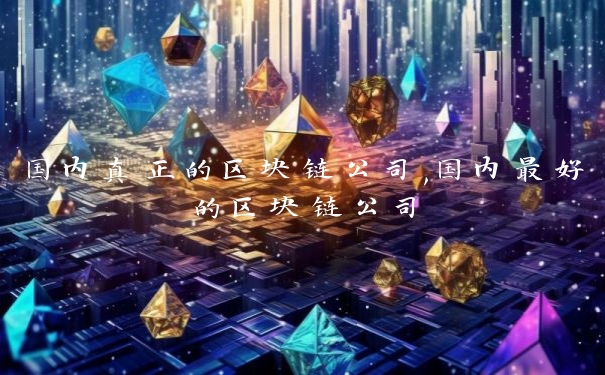 国内真正的区块链公司,国内最好的区块链公司 国内真正的区块链公司,国内最好的区块链公司